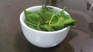 樂菁慈恩製茶廠