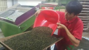 樂菁慈恩製茶廠