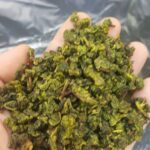 福壽山冬片高山茶