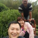 杉林溪 黑猪茶園