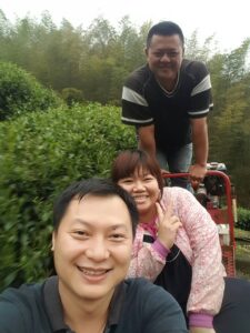 杉林溪 黑猪茶園