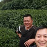 杉林溪 黑猪茶園