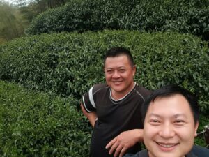 杉林溪 黑猪茶園