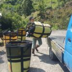 阿里山青心烏龍茶