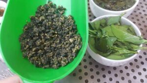 阿里山青心烏龍茶