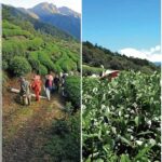 樂菁慈恩製茶廠參加2019南投世界茶業博覽會