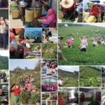 樂菁慈恩製茶廠參加2019南投世界茶業博覽會