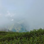 冷高山/能高山冬茶批發