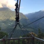 台灣茶葉批發/高山茶/冬茶批發