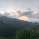 台灣茶葉批發/高山茶/冬茶批發