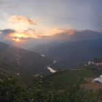 台灣茶葉批發/高山茶/冬茶批發