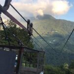 台灣茶葉批發/高山茶/冬茶批發