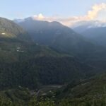 台灣茶葉批發/高山茶/冬茶批發