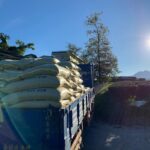 春茶結束後開始施肥