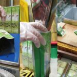 南投名間四季春茶