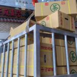 南投名間四季春茶