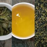 杉林溪竹山迎香烏龍春茶