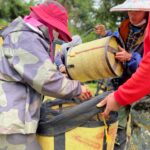 華崗 台灣第一等 水源頭 採茶