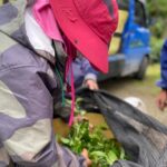 華崗 台灣第一等 水源頭 採茶