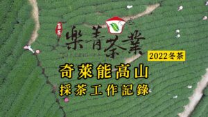 冷高山/能高山茶園採茶空拍