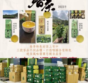 賀春茶開始，三合一新品種烏龍茶，優惠活動