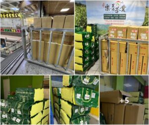 樂菁茶葉批發 阿里山茶區 好茶持續入庫