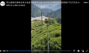 樂菁茶業2023年春茶 茶園巡禮直播