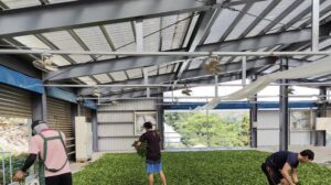 福壽山茶園冬茶,梨山茶,福壽山86 k茶園