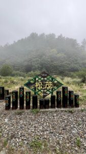 梨山松茂部落茶園 春茶採收中