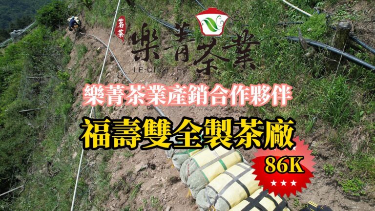 福壽山 福壽雙全製茶廠茶園風光