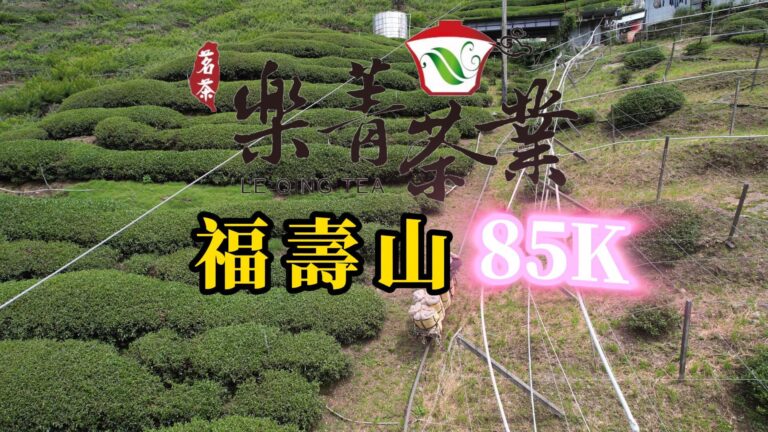 福壽山85K茶園