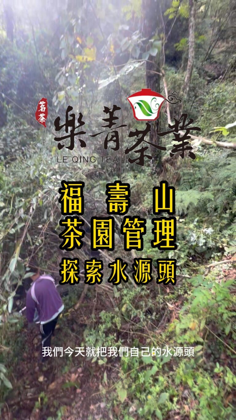 福壽山茶園 水源頭