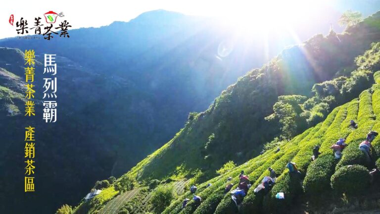 樂菁茶業 台灣高山茶產銷茶區