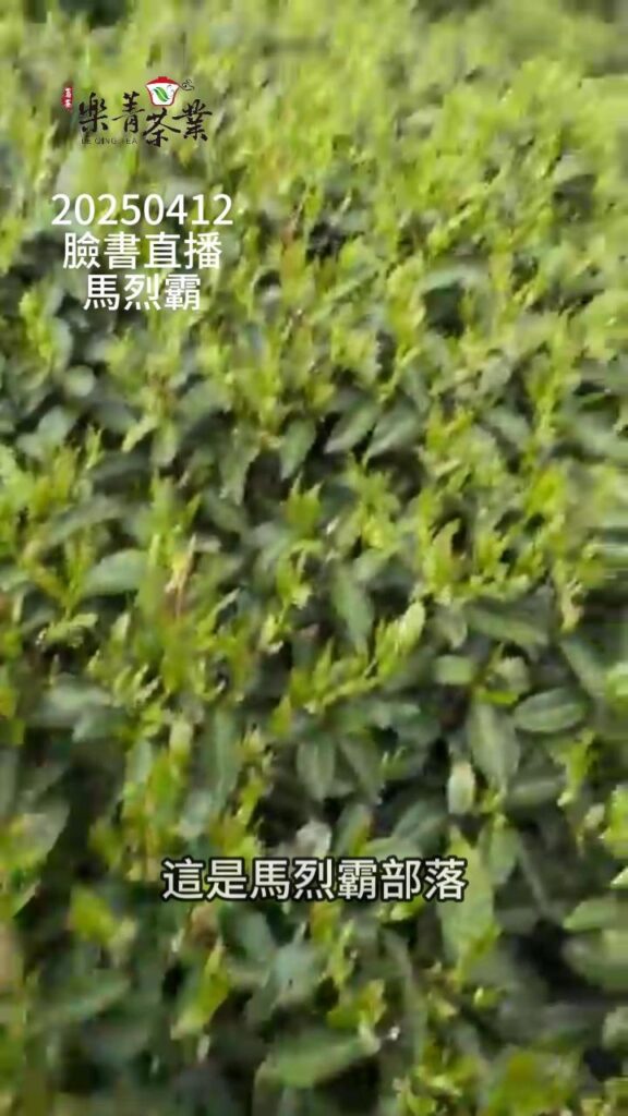 馬烈霸茶園