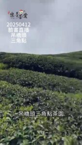 吊橋頭茶園,三角點茶園
