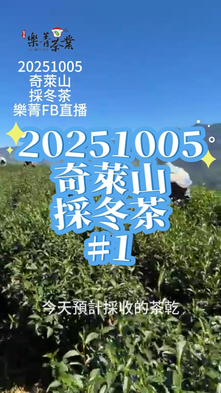 20251005-樂菁FB 奇萊能高山 -1(1)-封面