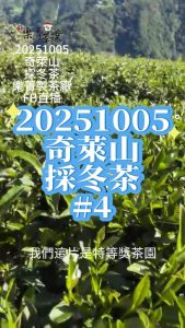 20251005-樂菁製茶廠FB 奇萊能高山 -2