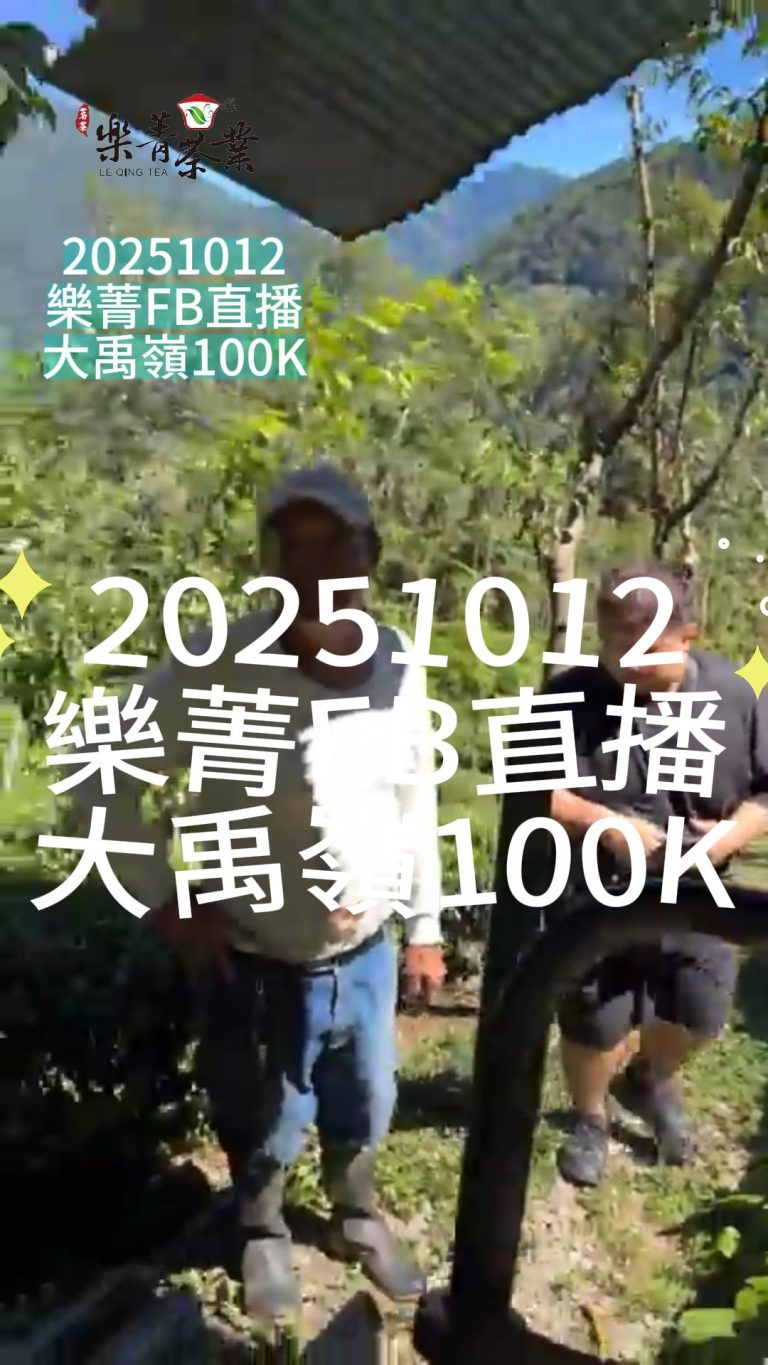 大禹嶺100K,大禹嶺茶葉批發,茶葉批發