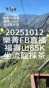 福壽山茶葉批發,福壽山冬茶,茶葉批發