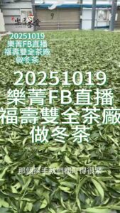福壽雙全茶廠作冬茶