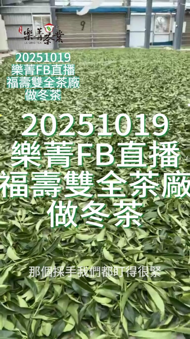 福壽雙全茶廠作冬茶