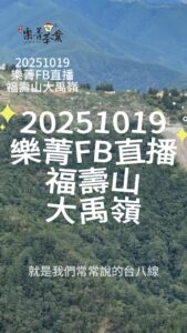 台八線冬茶