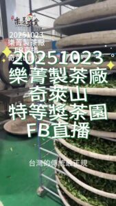 【直播實錄】奇萊山特等獎茶園冬茶製作中!樂菁茶業炒菁實況公開 奇萊山特等獎茶園