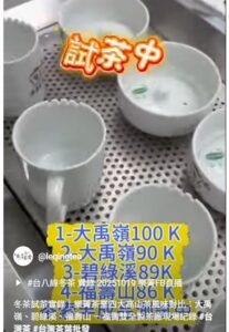 冬茶試茶