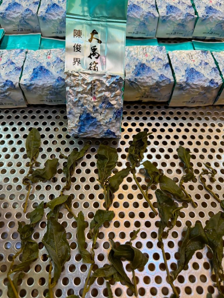 大禹嶺100K