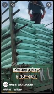 2026秋茶,茶園管理,樂菁茶園