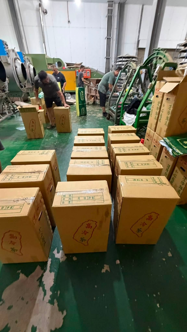 樂菁茶業:台灣高山茶批發的專業後盾與品質承諾