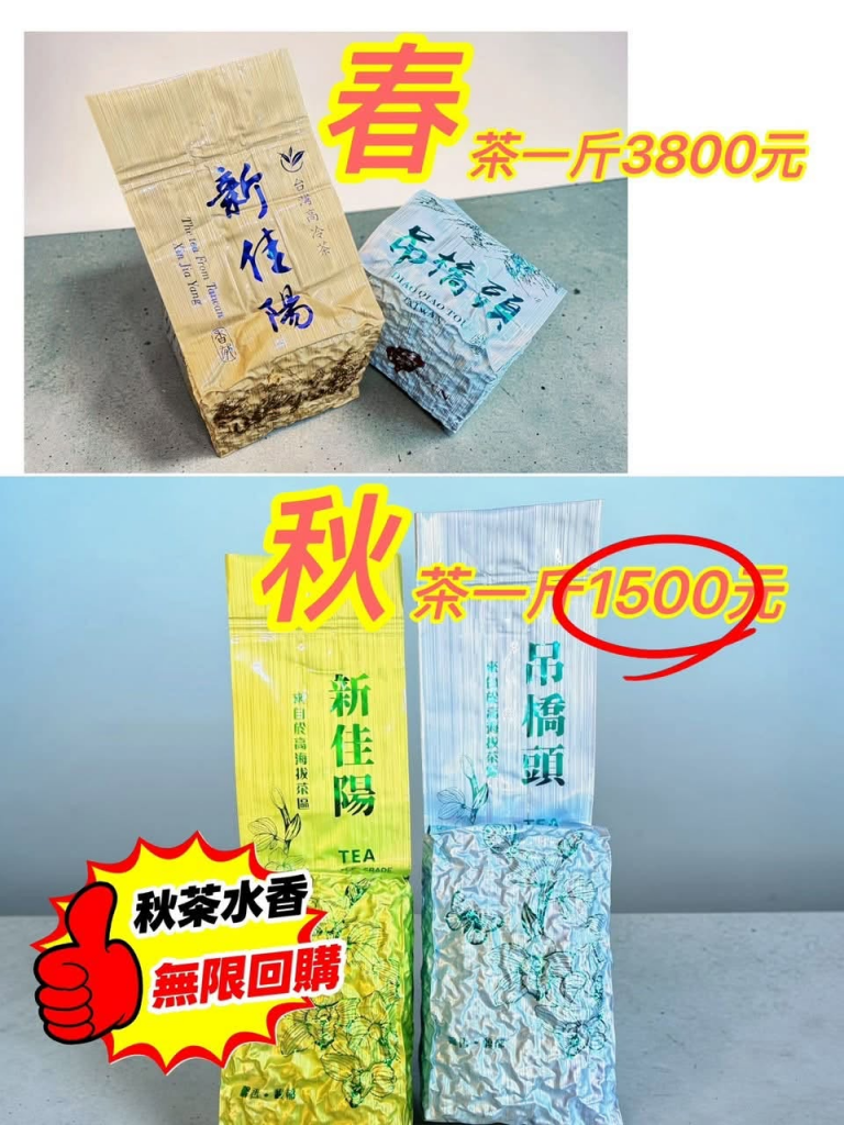 樂菁茶業:深耕台灣高山茶批發,透明產地與卓越品質的堅實後盾